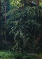 Tanne 1 klassische Landschaft Ivan Ivanovich Bäume